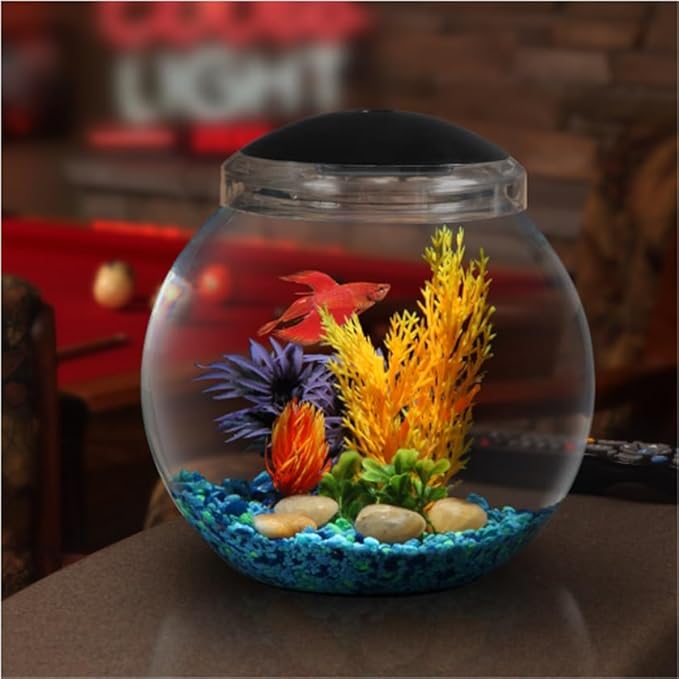 1-Gallon Globe Fish Tank with LED Lighting (7 Color Selections), Impact-Resistant Plastic