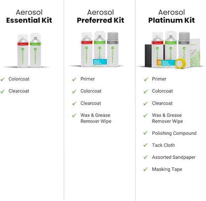 TouchUpDirect 1L6 Storm Cloud Compatible with Toyota Exact Match Touch Up Paint Aerosol - Platinum Kit