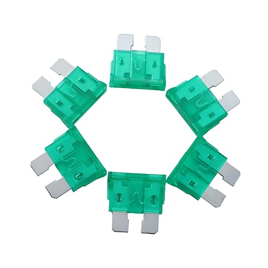 100 Pack Auto Fuses 30 AMP ATC/ATO Standard Regular Fuse Blade 30A Car Truck Boat Marine RV