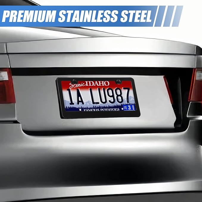 2 Pack License Plate Frames, Stainless Steel Car License Plate Cover Car Accessories with Screw Caps (Black)