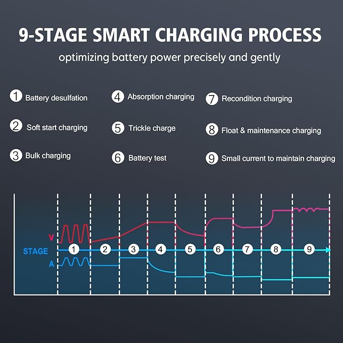 Haisito 20 Amp Lithium Battery Charger, 12V and 24V Lifepo4,Lead-Acid(AGM/Gel/SLA..) Portable Car Battery Charger,Battery Maintainer, Trickle Charger, and Battery Desulfator for Car,Boat, H-20-PRO
