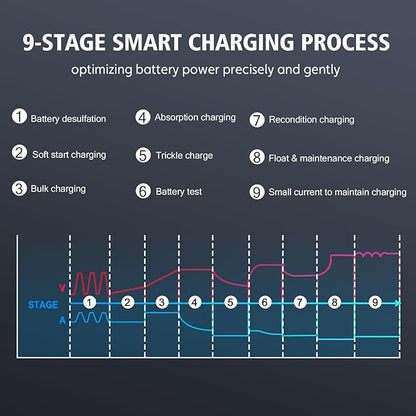 Haisito 20 Amp Lithium Battery Charger, 12V and 24V Lifepo4,Lead-Acid(AGM/Gel/SLA..) Portable Car Battery Charger,Battery Maintainer, Trickle Charger, and Battery Desulfator for Car,Boat, H-20-PRO