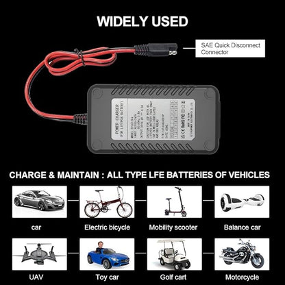 4-Amp LiFePO4 Battery Charger,14.6 Volt Lithium Battery Charger,Smart Charger for Cars,Motorcycles,Lawn Mowers,Toy Cars,Golf Carts,UAV,Fishing Boat,Lithium and Deep Cycle Batteries