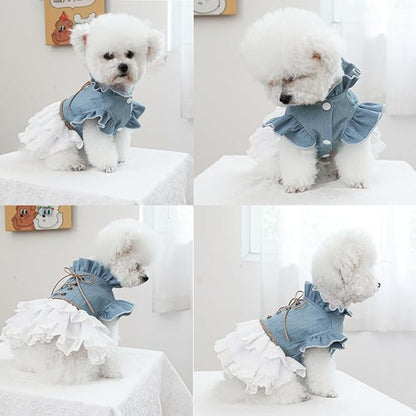 Girl Dog Denim Dress with Flared Sleeves Dog Jeans Jacket Blue White Puppy Clothes for Small Dogs Cat Apparel Cake Skirt Pet Outfit (Blue, X-Large)