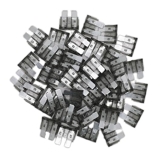 (80Pcs) 2 Amp Standard Fuse, 2A Car Blade Fuses for Car/RV/Truck/SUV/Motorcycle/Boat