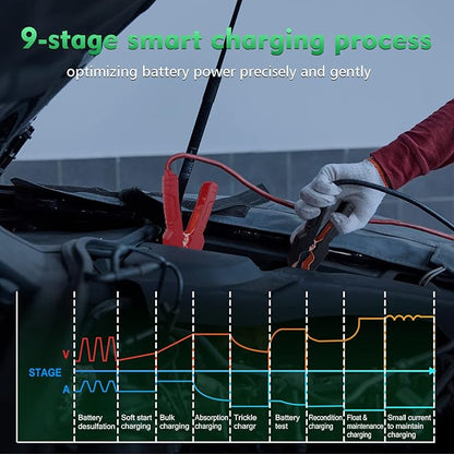 25 Amp Lithium Battery Charger, 12V and 24V Lifepo4,Lead-Acid(AGM/Gel/SLA..) Battery Charger,Battery Maintainer, Trickle Charger, and Battery Desulfator for Car,Boat,Motorcycle, Lawn Mower.