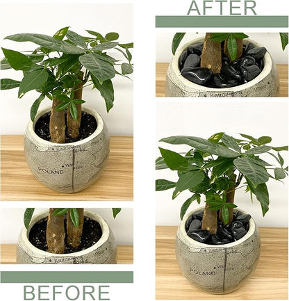 10 lb Small Pebbles for Plants, Polished Black Stones. Decorative River Rocks for Outdoor Landscaping, Vase, Aquarium and Garden