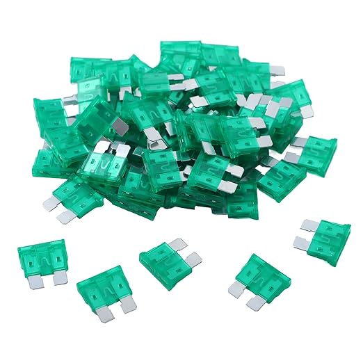 100 Pack Auto Fuses 30 AMP ATC/ATO Standard Regular Fuse Blade 30A Car Truck Boat Marine RV