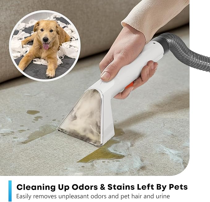 Portable Carphcleaner & Upholstery Cleaner Machine - Multi-Surface Carpet Shampooer with Powerful Suction, Handheld Spot Cleaner for Pets, Stains, Auto Detailing, Furniture, Couch, Car Seats (Silver)