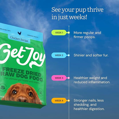 Get Joy Gut Health Fresh Freeze Dried Raw Meal, Chicken Recipe, 16 Ounce Bag, Dog Food for Dogs of All Breeds and Life Stages, PhD Animal Nutritionist Formulated, Made in USA
