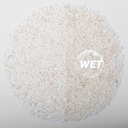 1/5 Inch White Succulent Cactus Gravel, 10 lbs – Ideal for Succulent Plant Pots, Vase Fillers, Glass Containers, Aquariums, Patios, and Outdoor Gardening River Stones (White, 10 Pounds)