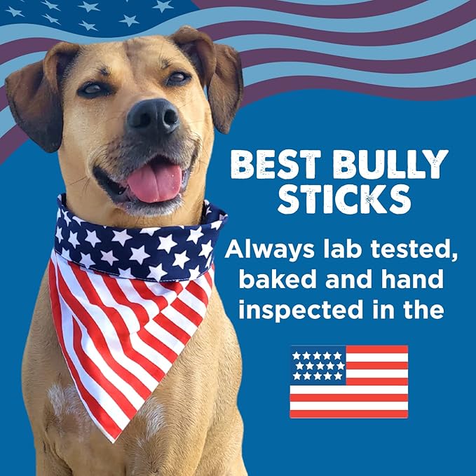 Best Bully Sticks 6 Inch Bully Sticks for Dogs - 5 Count (Pack of 1) - All-Natural, Easily Digestible, 100% Grass-Fed Beef, Grain and Rawhide Free - Trial Size