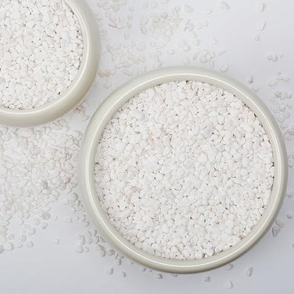 1/5 Inch White Succulent Cactus Gravel, 5 lbs – Ideal for Succulent Plant Pots, Vase Fillers, Glass Containers, Aquariums, Patios, and Outdoor Gardening River Stones (White, 5 Pounds)
