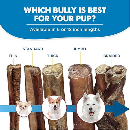 Best Bully Sticks 6 Inch Bully Sticks for Dogs - 5 Count (Pack of 1) - All-Natural, Easily Digestible, 100% Grass-Fed Beef, Grain and Rawhide Free - Trial Size