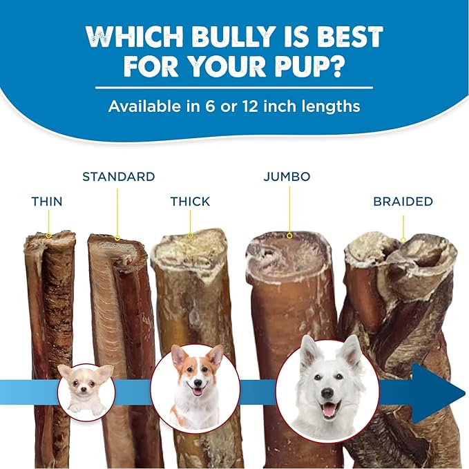 Best Bully Sticks 12 Inch Bully Sticks for Dogs - 10 Count (Pack of 1) - Natural, Easily Digestible, 100% Grass-Fed Beef, Grain and Rawhide Free