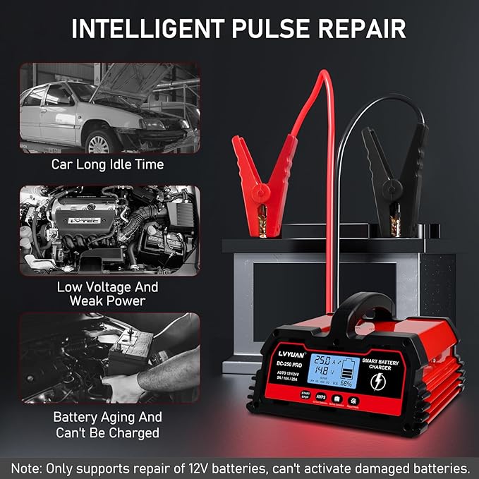 LVYUAN 25Amp Smart Car Battery Charger, 12V/24V Automotive Charger, Lead-Acid Battery, LiFePO4 Battery Maintainer with LCD Display, Trickle Charger, for Lawn Mower, Motorcycle, AGM, STD, Gel, EFB,etc