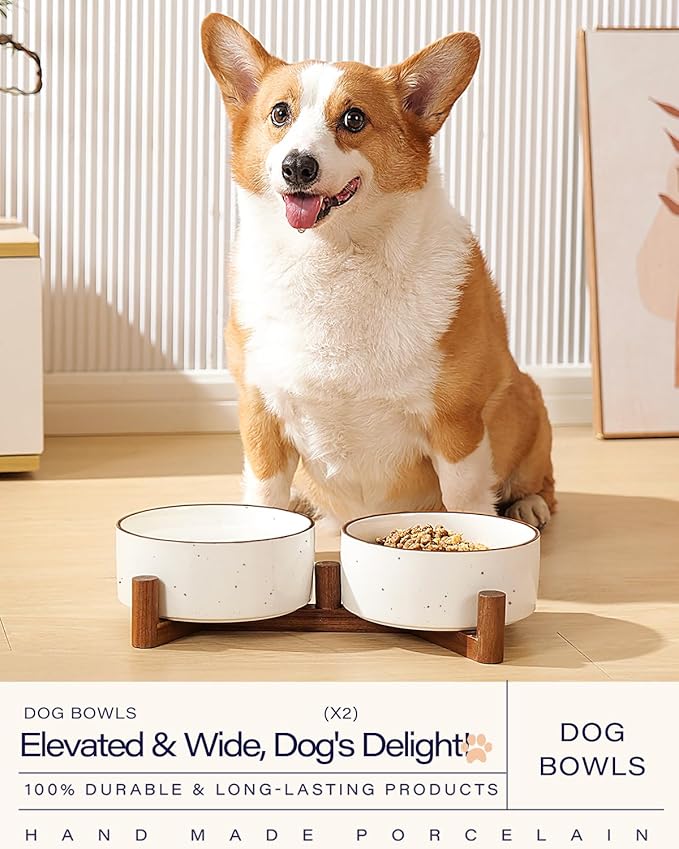 Getstar Ceramic Dog Bowls with Acacia Wood Stand, 30 fl oz, Set of 2, Dog Food Bowl with Colored Rim