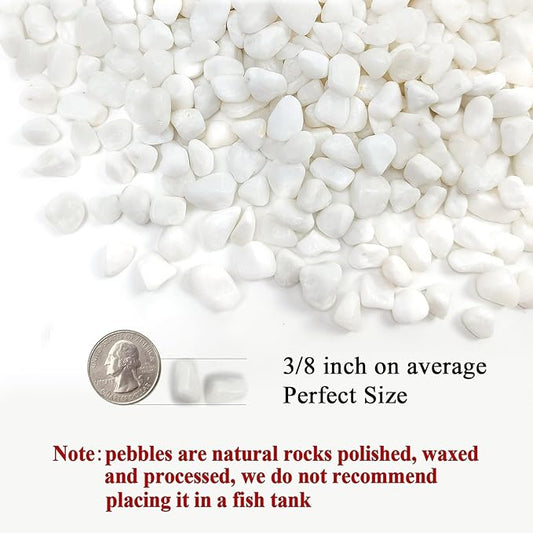 10 lbs White Pebbles for Indoor Plants, 3/8 Inch Decorative White Stones. Polished River Rocks for Potted Plants Vase Cactus Bird Bath and Outdoor Garden Landscaping