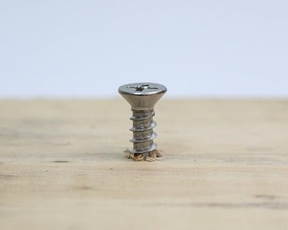 Bolt Dropper No. 6 x 5/8" Stainless Steel Flat Head Phillips Wood Screw, (100 pc), 18-8 (304) Stainless Steel Sheet Metal Screws- Type A Point, Plain Finish, Threads That Bind