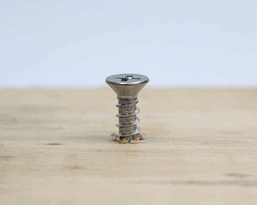 Bolt Dropper #6 x 1/2'' Stainless Steel Flat Head Phillips Wood Screw (100 Pack), 18-8 (304) Stainless Steel Sheet Metal Screws - Type A Point, Plain Finish