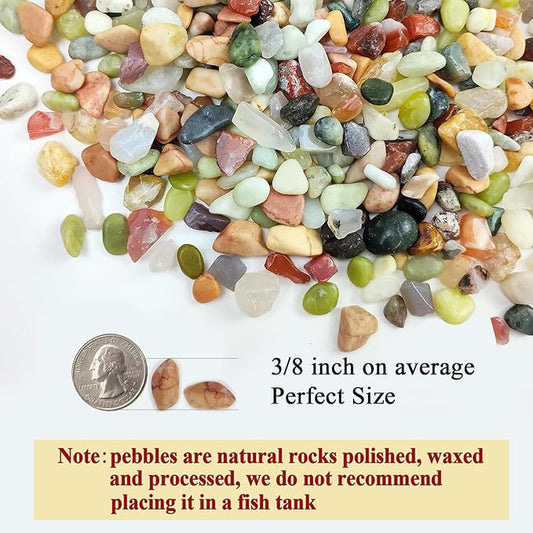 10 lbs Small Succulent Rocks, 3/8 Inch Colorful Polished Pebbles for Indoor Plants. Decorative Rocks for Plants Indoor, Vases, Planters Aquarium and Outdoor Landscaping Garden