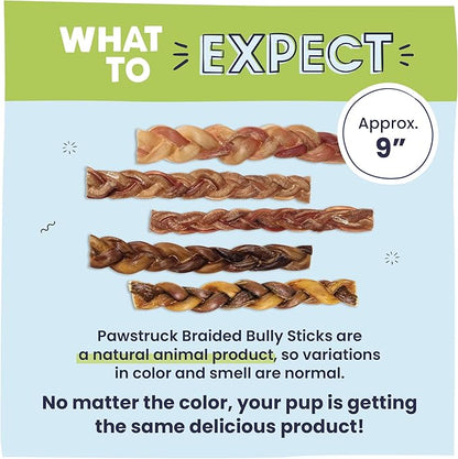 Pawstruck Natural 9” Braided Bully Sticks for Dogs - Tough, Long-Lasting, Rawhide-Free, Low Odor, Healthy Single Ingredient Chew Treat for Aggressive Chewers - 10 Count - Packaging May Vary