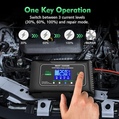 25 Amp Lithium Battery Charger, 12V and 24V Lifepo4,Lead-Acid(AGM/Gel/SLA..) Battery Charger,Battery Maintainer, Trickle Charger, and Battery Desulfator for Car,Boat,Motorcycle, Lawn Mower.