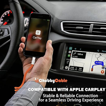chubbycable Curly Chubby - Retractable Fast Charging Cable 240W Coiled Charger Cord for Car Durable USB-C Cable for Phones, Tablets and More, Pink, Type-C to Type-C, 1.3FT-2.3FT