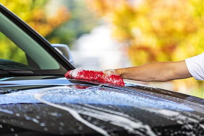 Griot's Garage Best of Show Wash and Wax for Car Detailing and Cleaning, Carnauba-Packed Coating, High Gloss Shine and Protection for Auto Paint, 10974, 16oz