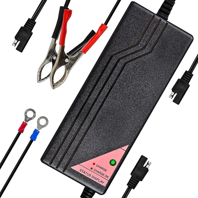 ExpertPower 12.8V 5A Smart Charger for Lithium LiFePO4 Deep Cycle Rechargeable Batteries