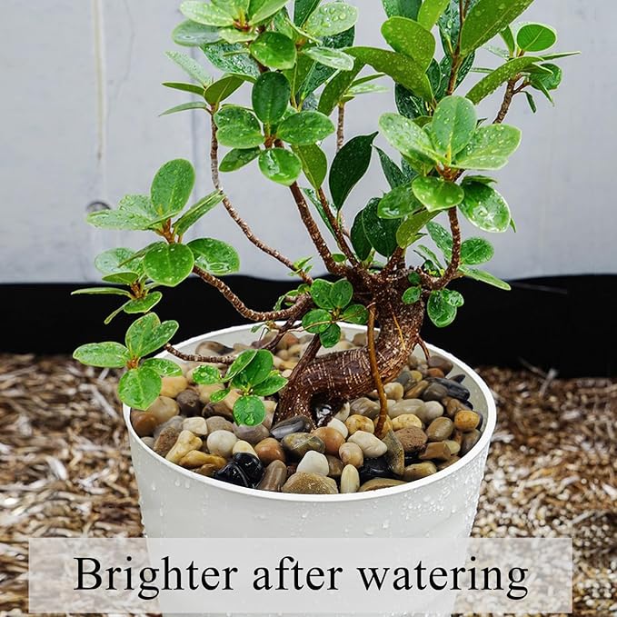 10 lbs Pea Gravel for Landscaping, 2/5 Inch Size Mixed Color River Rocks for Aquarium, Succulent, Vase Fillers, Cactus Bonsai, Plant Soil Cover and Outdoor Garden Rocks.