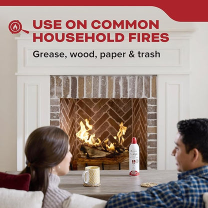 Kidde Flame Out Fire Fighting Spray, 17.6 oz, for Home Use, Kitchens, Dorms, Apartments