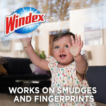 Windex Glass and Surface Ammonia-Free Pre-Moistened Wipes, Crystal Rain Fresh Scent, 25 Count (Pack of 2)