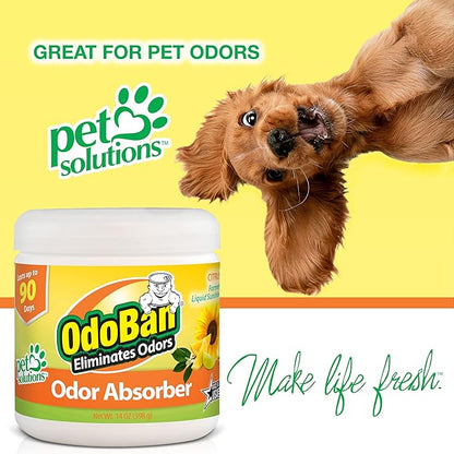 OdoBan Solid Odor Absorber Eliminator for Home and Small Spaces, Citrus Scent, 14 Ounces Each, 9-Pack
