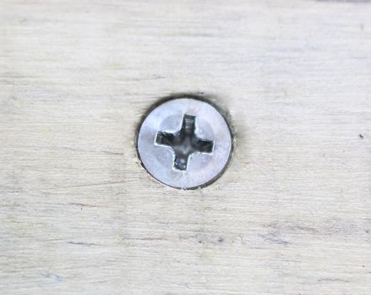 Bolt Dropper Stainless Steel Flat Head Phillips Screws - Pack of 100#6 x 1-Inch Wood Screws by - Durable and Rust-Resistant for Wood, Decking, and DIY Projects