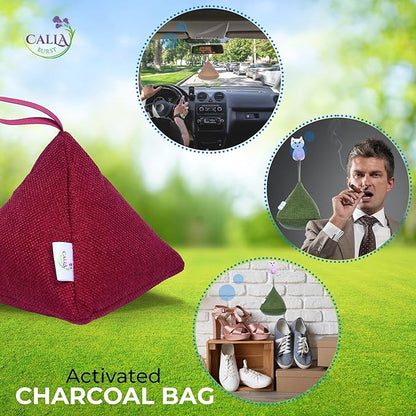 4 Pack Bamboo Charcoal Air Purifier Bags 200 Grams Each - Odor Absorber & Eliminator for Home, Car, Pets, Activated Charcoal Natural Freshener, Eco-Friendly & Reusable (Fall Colors)