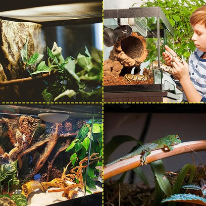 10 Gallon Professional Glass Terrarium 12"x12"x18" Durable Reptile Habitat Tank with Heat Resistant Aluminum Alloy Frame, Dual Front Swinging Doors for no Jam by Sand and Other Debris